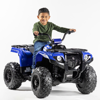 Yamaha Grizzly 24 Volt ATV Ride On EC-1113