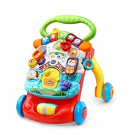 Vtech Baby First Steps Baby Walker Blue 505603