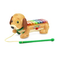 Vtech Zoo Jamz Doggy Xylophone 571000