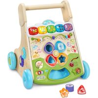 Vtech Baby Nature Walk Wooden Activity Walker 619600