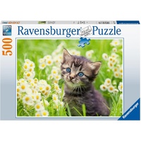 Ravensburger Kitten in the Meadow 500pc Puzzle RB00367