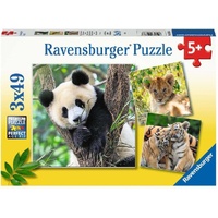 Ravensburger Panda, Lion and Tiger Cubs 3x49pc Jigsaw Puzzles RB05666