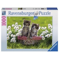 Ravensburger Picnic In The Meadow 1000pc Jigsaw Puzzle RB19480