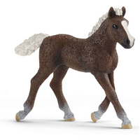 Schleich Black Forest Foal Toy Figure SC13899