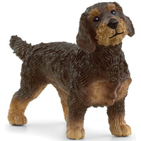 Schleich Wire-Haired Dachshund SC13972