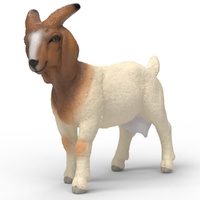 Schleich Boer Goat SC14929
