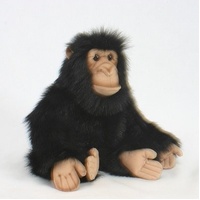 Hansa Chimp 25cm HC2306