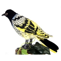 Hansa Regent Honeyeater 25cm HC6040