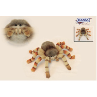 Hansa Jumping Spider 29cm HC6556