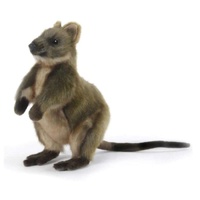 Hansa Quokka 22cm HC7362