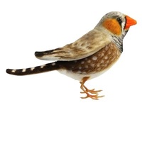 Hansa Tree Sparrow 13cm HC8218