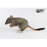 Hansa Woylie Potoroo HC8425
