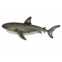 Hansa Great White Shark 50cm HC8537