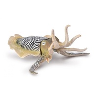 CollectA Common Cuttlefish Toy Figure 80009