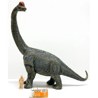 CollectA Brachiosaurus - Deluxe Dinosaur Toy Figurine 88405