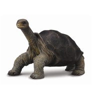 CollectA Pinta Island Tortoise (Lonesome George) Toy Figurine 88619