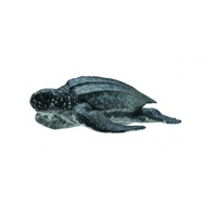 CollectA Leatherback Sea Turtle Toy Figure 88680