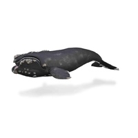 CollectA Right Whale Toy Figure 88740