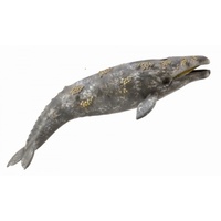 CollectA Gray Whale Toy Figure 88836