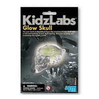 4M KidzLabs Glow Skull
