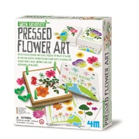 4M Green Creativity Pressed Flower Art C4567