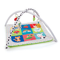 ELC Blossom Farm Activity Play Gym 200027