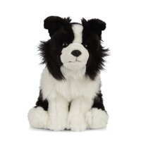 Living Nature Border Collie 20cm AN460