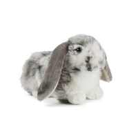Living Nature Grey Dutch Lop Ear Rabbit 30cm AN316G