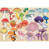 House of Puzzles - Mushroom Mania 1000pc Puzzle HP0710