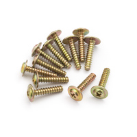 BlackZon Slyder Flange Head Self Tapping Screws PWTHO2.6*12mm [540057]