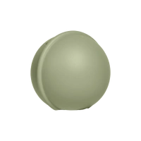 BIBS Pacifier/Dummy Mini Case Sage