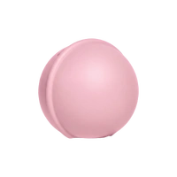 BIBS Pacifier/Dummy Mini Case Baby Pink