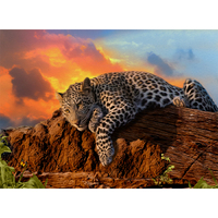 RGS Sunset Leopard 1500pc Jigsaw Puzzle RGS9322