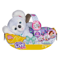 Little Live Pets Cozy Dozys Kip the Koala 26233