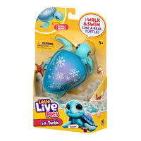 Little Live Pets Lil' Turtle - Aspen 26686