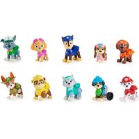 Paw Patrol All Paws Gift Set SM6065255