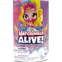 Hatchimals Alive! Water Hatch 1 Pack Mystery Assorted SM6068702