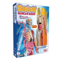 Squishy Human Body 47328