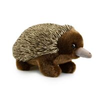 Korimco 18cm Lil Friends Echidna Plush Toy 3709