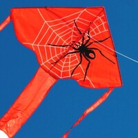 Windspeed Kites Spider Delta Single String Kite