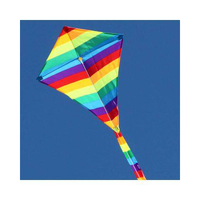 Windspeed Kites Small Rainbow Diamond Single String Kite
