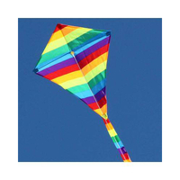 Windspeed Small Rainbow Diamond Single String Kite