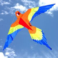 Windspeed Kites Lorikeet Single String Kite