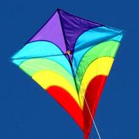 Windspeed Kites Waves Diamond Single String Kite