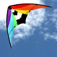 Windspeed Kites Dual Control Stunt Master Kite