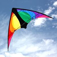 Windspeed Kites Dual Control Stinger Stunt Kite