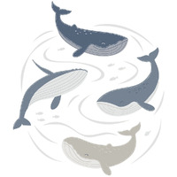 Lolli Living Wall Decal - Oceania **