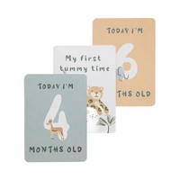 Living Textiles Milestone Cards - Wild Safari 2419497