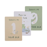 Living Textiles Milestone Cards - Goosey Goosey 2419423