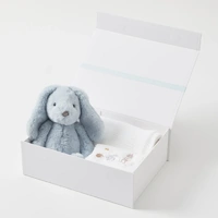 Jiggle & Giggle Pale Blue Bunny Hamper Gift Set PLHA016